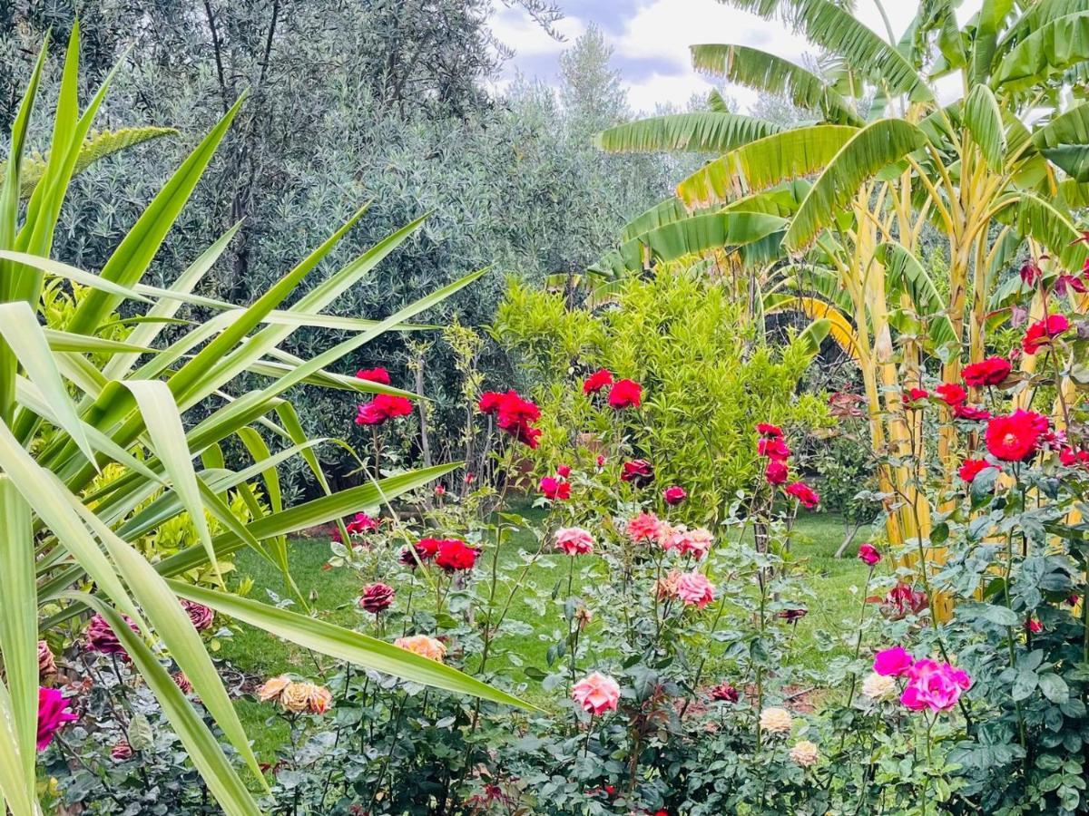Ilafe Farmhouse, Villa Avec Piscine Chauffee Privee Et Jacuzzi Pour Familles Μαρακές Εξωτερικό φωτογραφία