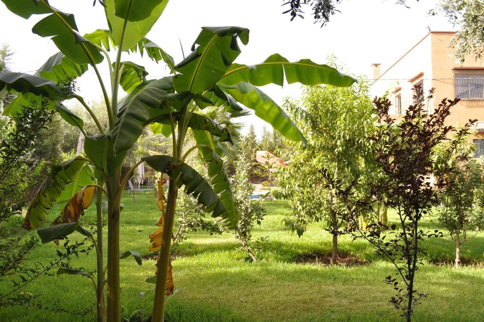 Ilafe Farmhouse, Villa Avec Piscine Chauffee Privee Et Jacuzzi Pour Familles Μαρακές Εξωτερικό φωτογραφία